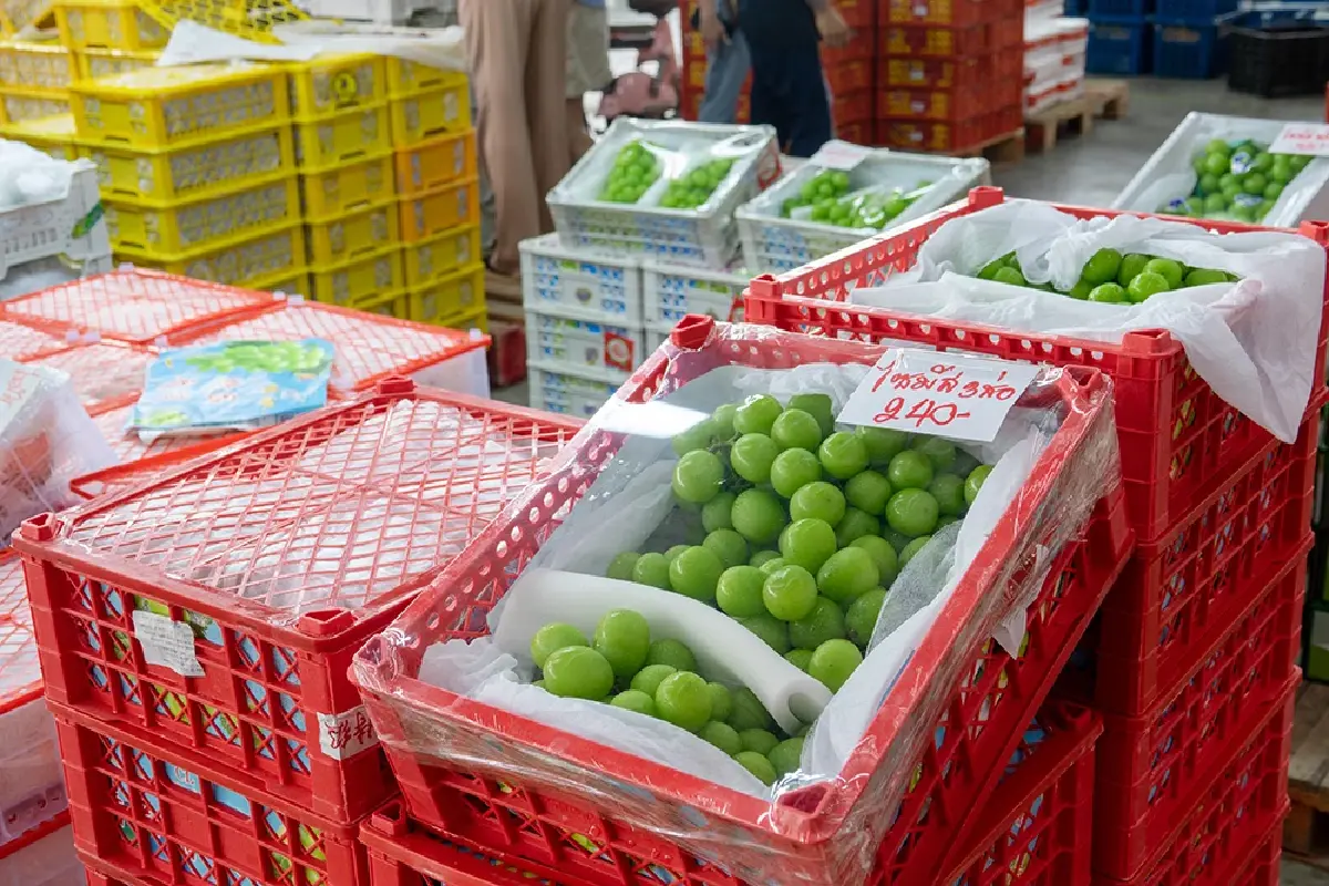 ไอยราธานี ทุ่มกว่า 1,000 ล้านบาท ผุดตลาดผลไม้ไอยรา 2 ยกระดับช็อปผลไม้ 24 ชม.