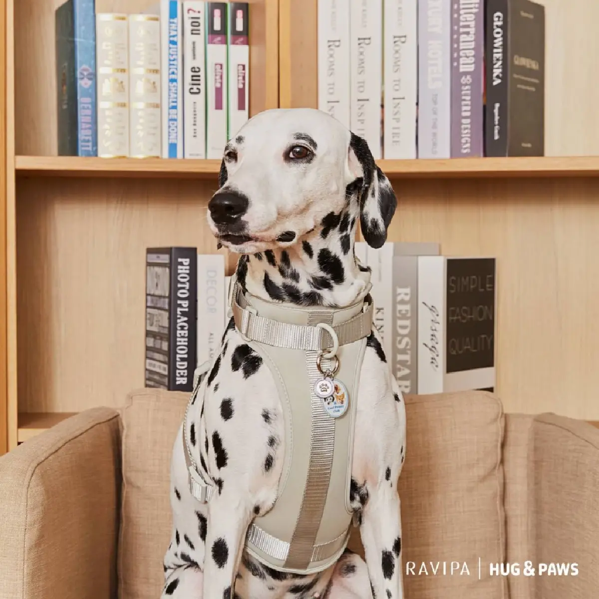 เปิดตัวเครื่องรางปกป้องดูแลสัตว์เลี้ยง สำหรับ"ทาสแมว ทาสหมา"