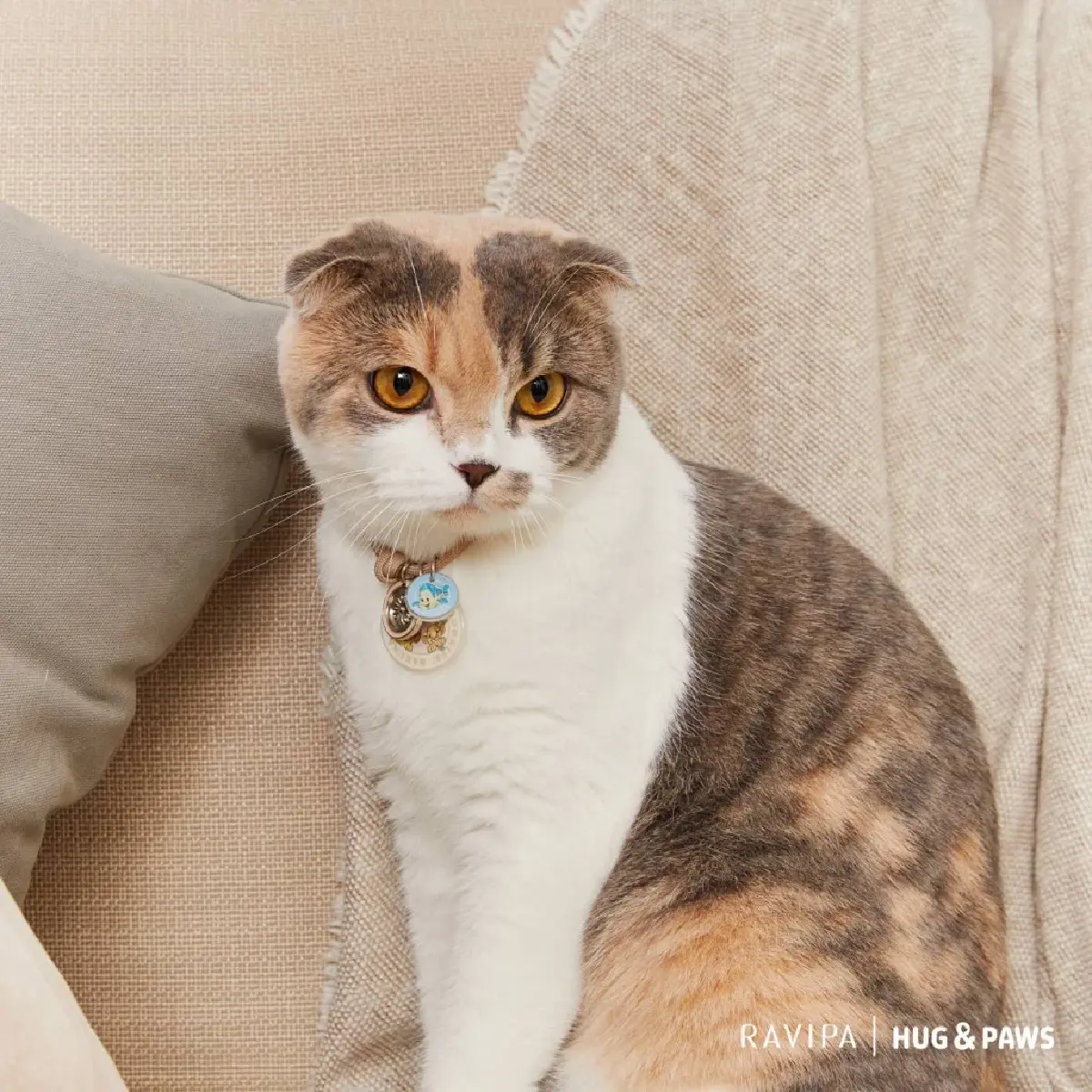 เปิดตัวเครื่องรางปกป้องดูแลสัตว์เลี้ยง สำหรับ"ทาสแมว ทาสหมา"