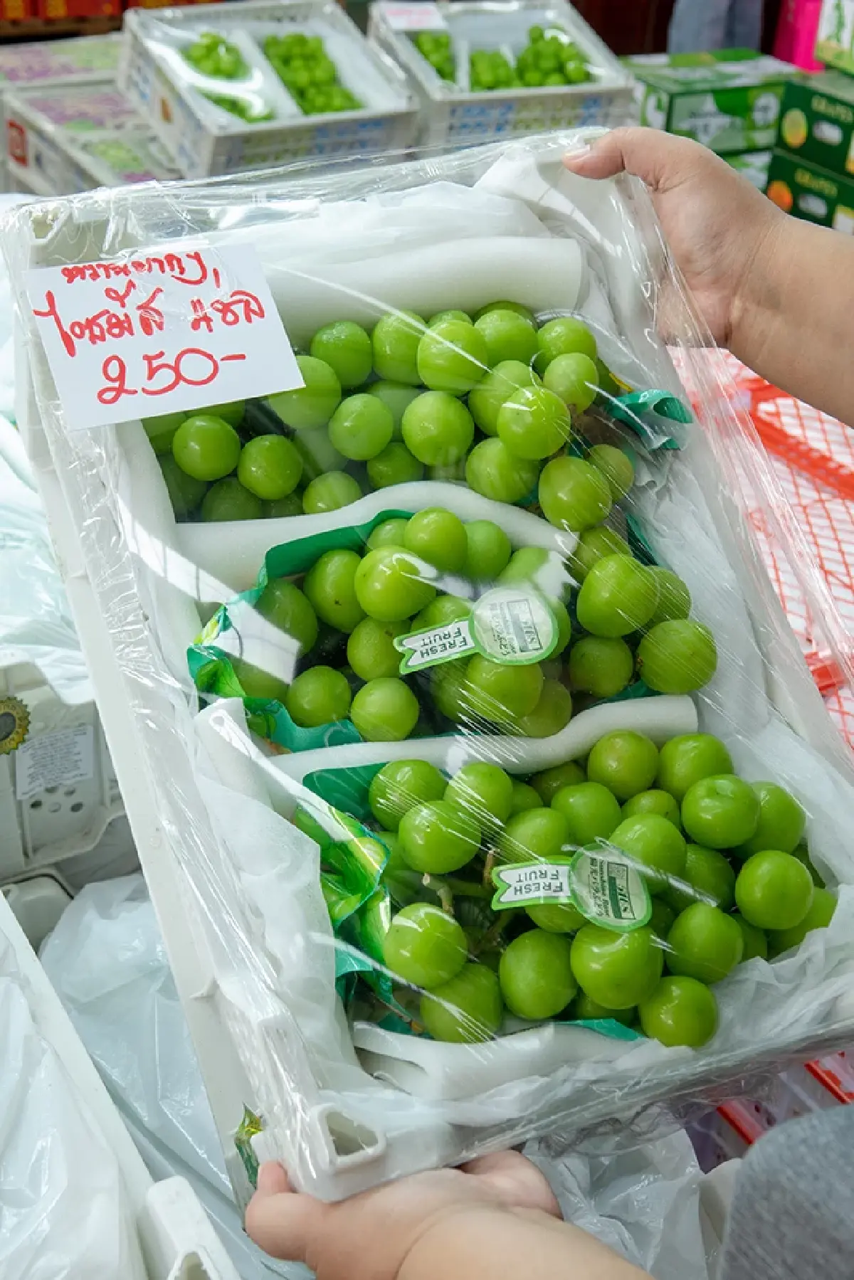 ไอยราธานี ทุ่มกว่า 1,000 ล้านบาท ผุดตลาดผลไม้ไอยรา 2 ยกระดับช็อปผลไม้ 24 ชม.