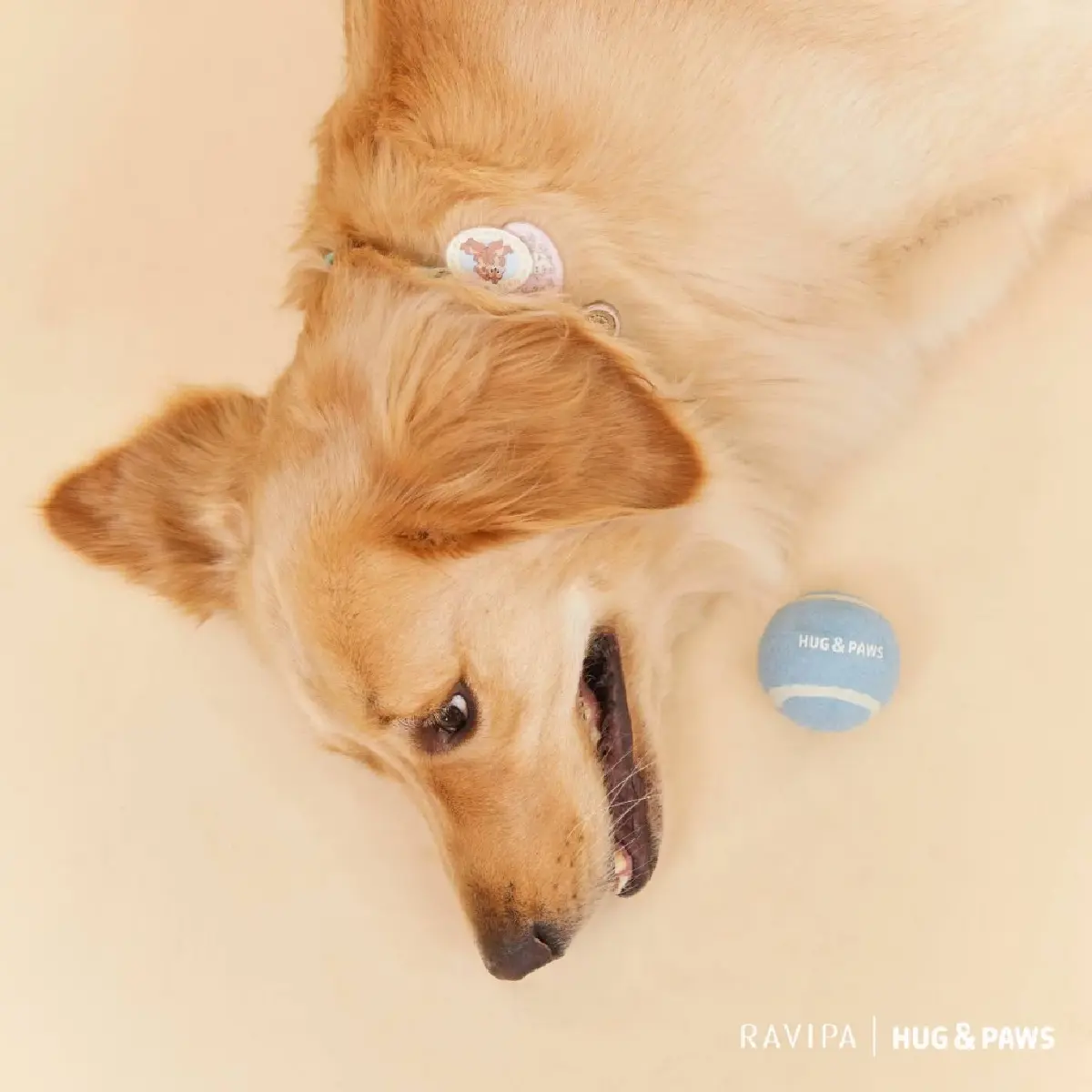 เปิดตัวเครื่องรางปกป้องดูแลสัตว์เลี้ยง สำหรับ"ทาสแมว ทาสหมา"