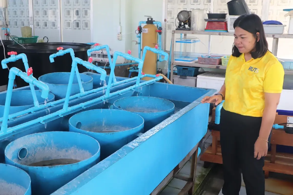 หนุนนวัตกรรมยกระดับเลี้ยงหอยนางรม พัฒนาชุมชนชายฝั่งตรังสู่ความยั่งยืน