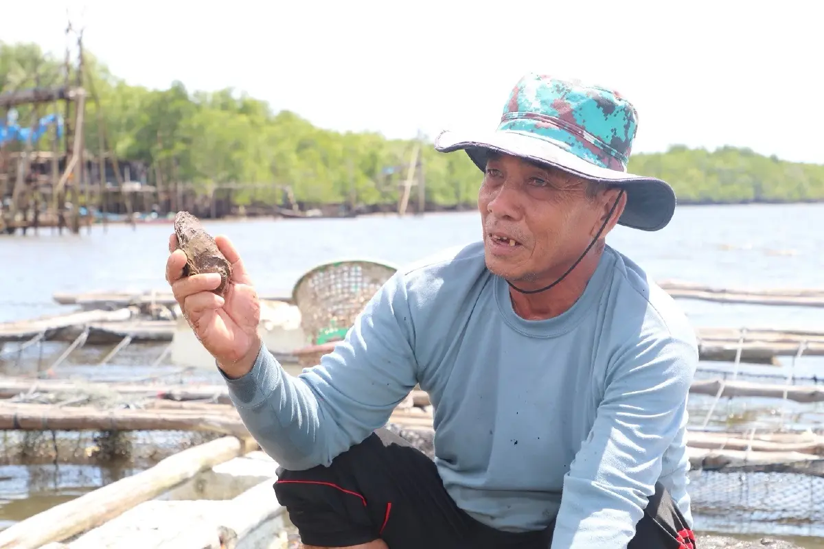 หนุนนวัตกรรมยกระดับเลี้ยงหอยนางรม พัฒนาชุมชนชายฝั่งตรังสู่ความยั่งยืน