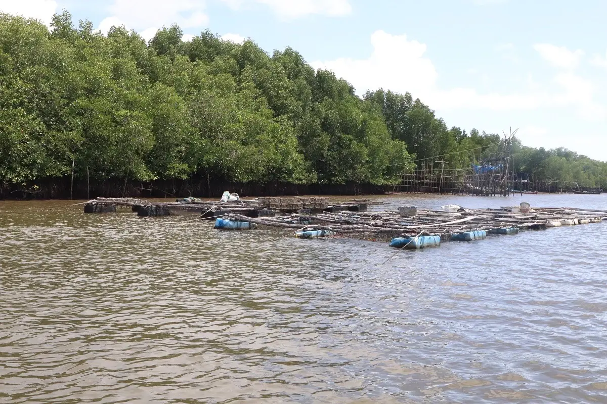 หนุนนวัตกรรมยกระดับเลี้ยงหอยนางรม พัฒนาชุมชนชายฝั่งตรังสู่ความยั่งยืน