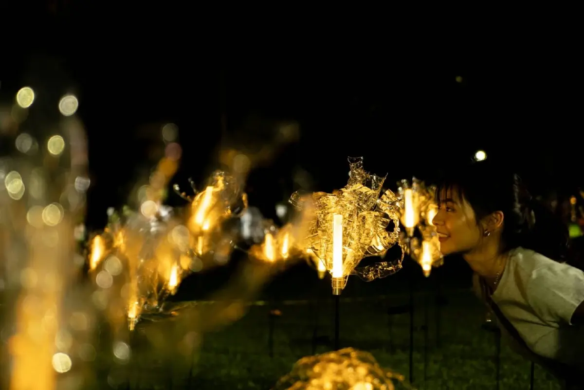 ปักหมุดเดินชมงาน Awakening Bangkok 2024 เทศกาลแสงไฟและศิลปะดิจิทัล