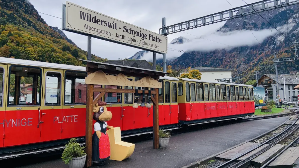 สถานีวิลเดอร์สวิล สู่ ชนีเก้ ปลาตเต้ Top of Swiss Tradition มีน้องวัวลิลลี่เป็นมาสคอต