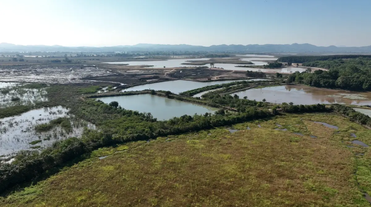 โครงการพัฒนาแก้มลิงเวียงหนองหล่มพร้อมอาคารประกอบ จังหวัดเชียงราย