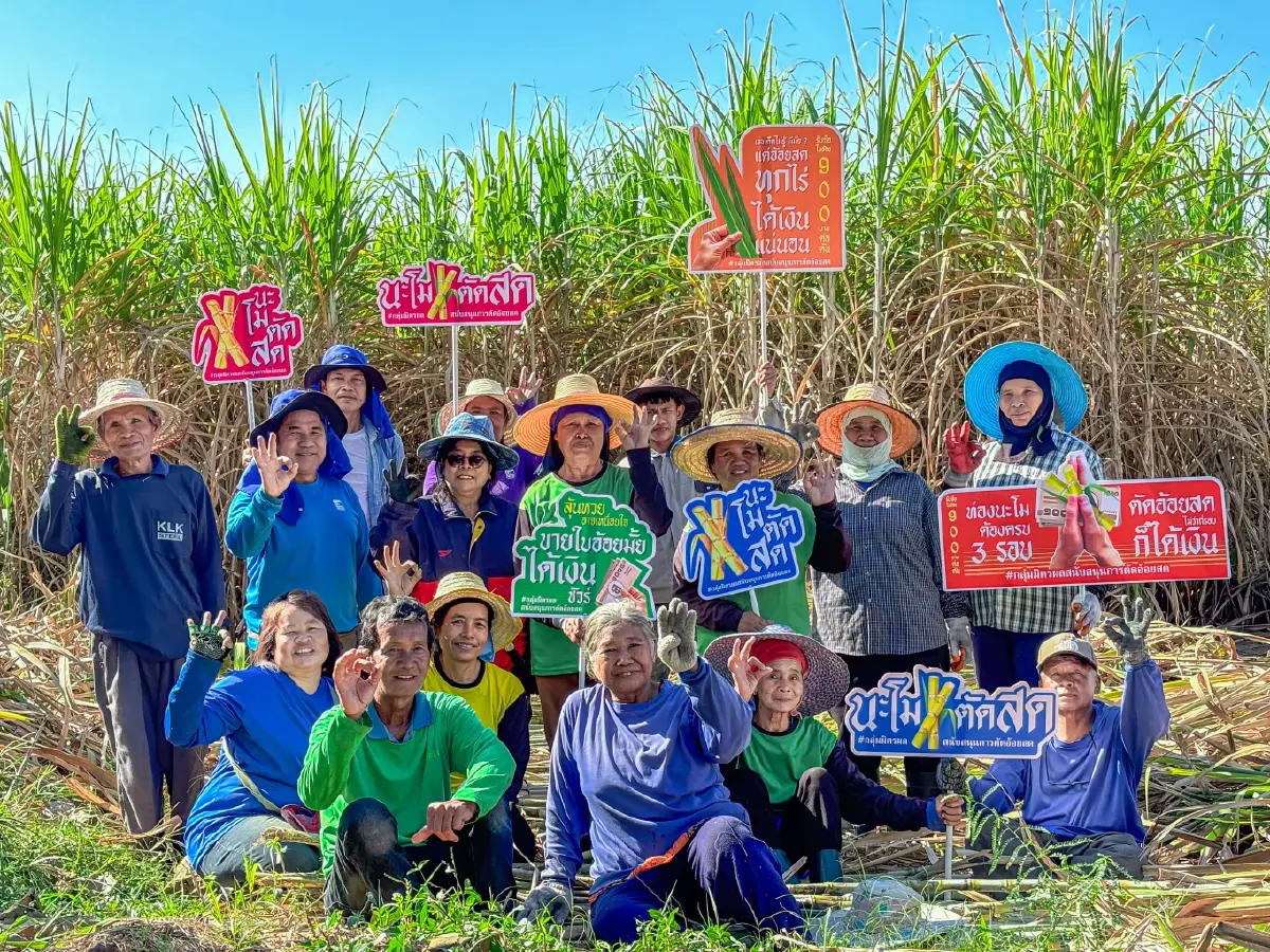 มิตรผล ส่งแคมเปญ “นะโม ตัดสด” คาถารักษ์โลก รับฤดูกาลผลิตเป็นมิตรต่อสิ่งแวดล้อม ชาวไร่อ้อยคึกคัก เพิ่มรายได้