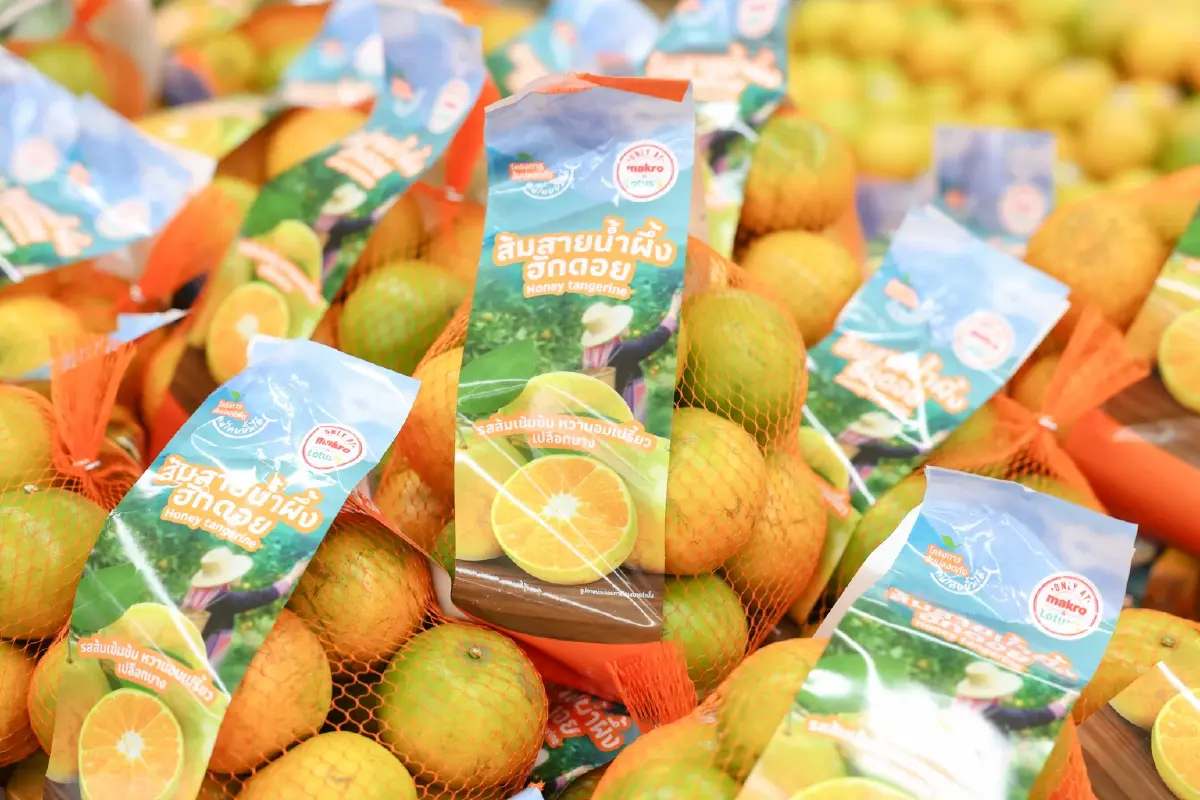 แม็คโครเปิดสาขาจอมทองเชียงใหม่ ต้อนรับปีใหม่  รองรับนักท่องเที่ยวดอยอินทนนท์