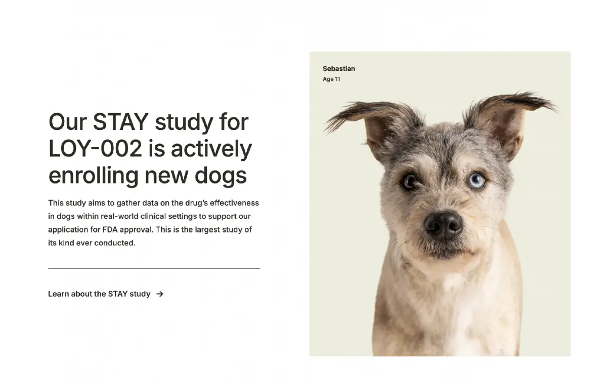 ส่องความคืบหน้า ยาต้านความแก่ชะลอวัย 'น้องหมา' ตั้งเป้าจำหน่ายปี 2026!