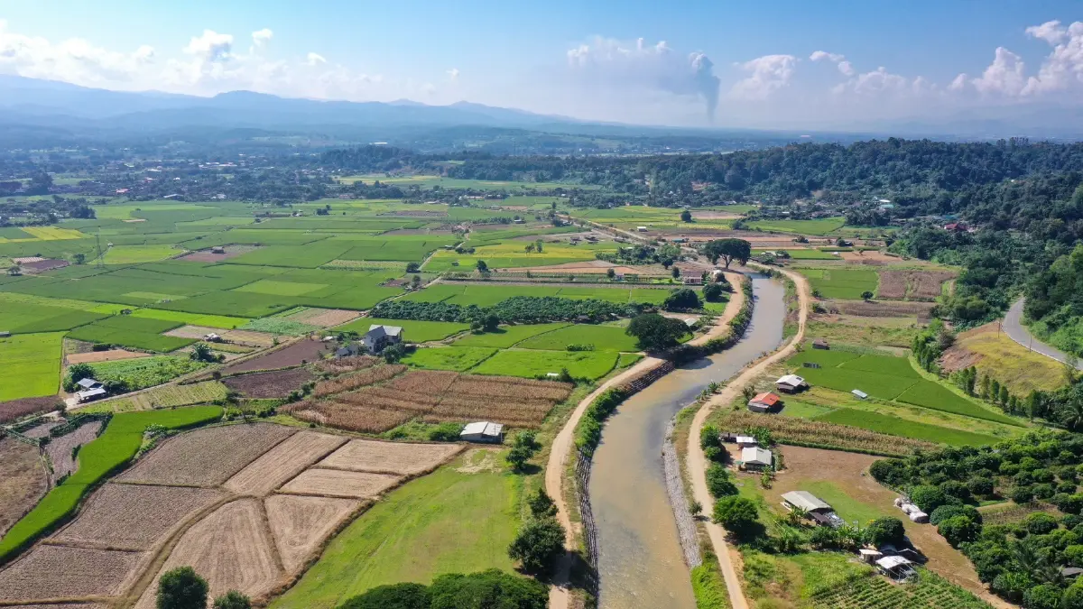 กรมชลฯ จัดสรรน้ำตามแผน เกษตรกรทำนาปรังไปแล้ว 91%