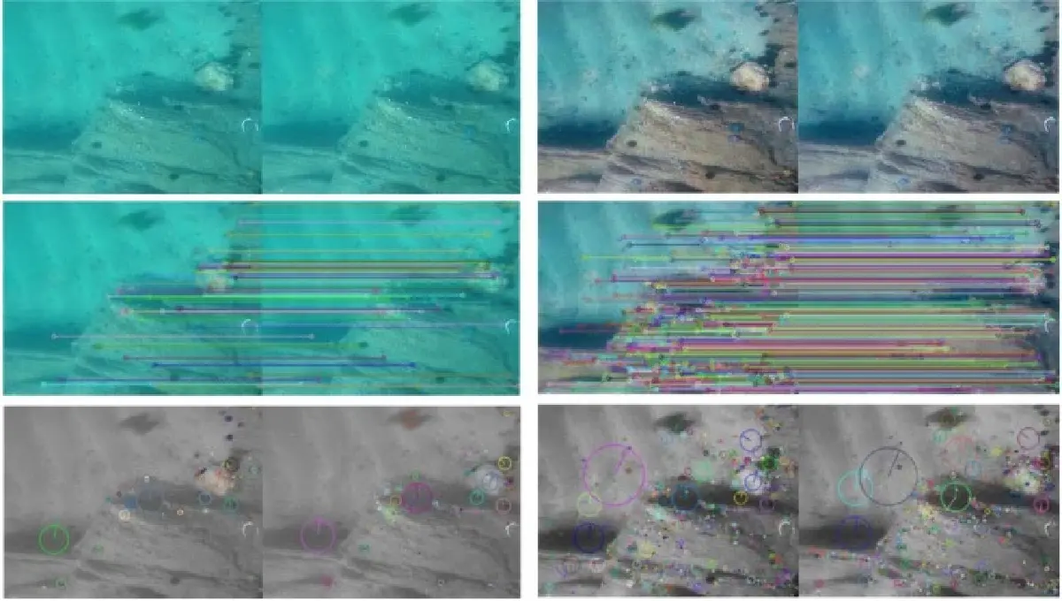 ก้นทะเลก็ชัดแจ๋ว AI ปรับปรุงสีภาพถ่ายใต้ทะเลอัตโนมัติ