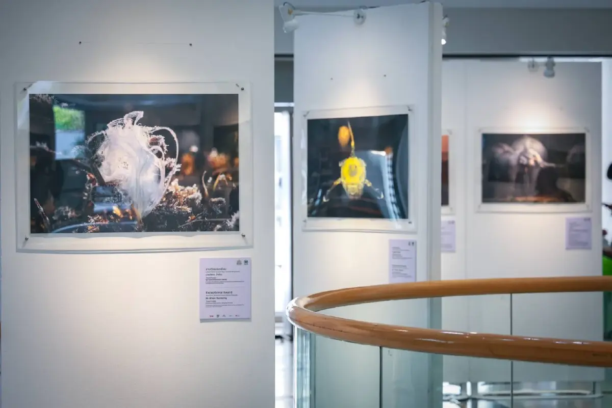 3 ทศวรรษ "สัตว์มีค่า ป่ามีคุณ" ชมภาพถ่ายสัตว์ป่าไทย ณ หอศิลป์ฯ 4-16 มี.ค. นี้