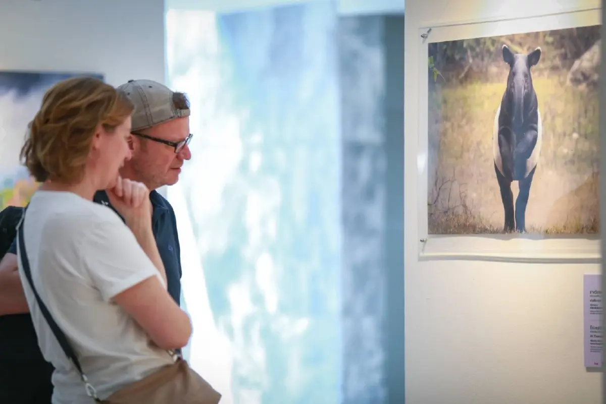 3 ทศวรรษ "สัตว์มีค่า ป่ามีคุณ" ชมภาพถ่ายสัตว์ป่าไทย ณ หอศิลป์ฯ 4-16 มี.ค. นี้