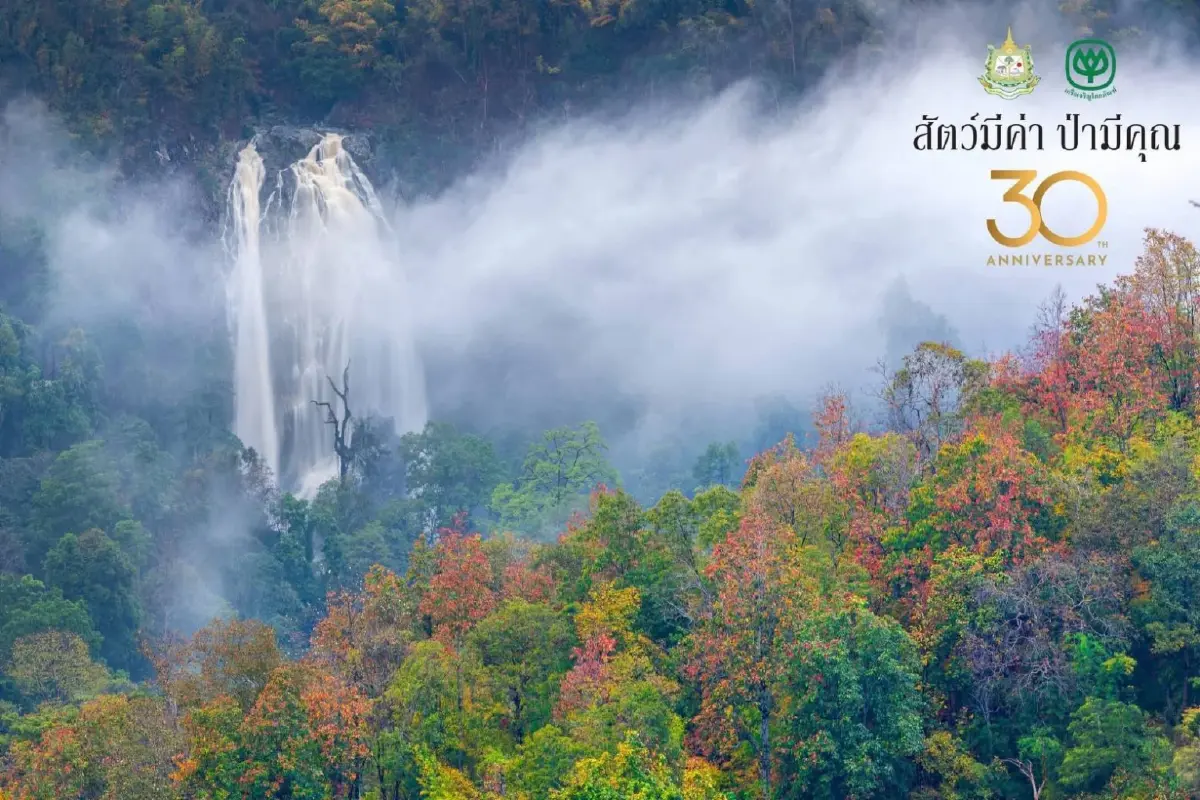 3 ทศวรรษ "สัตว์มีค่า ป่ามีคุณ" ชมภาพถ่ายสัตว์ป่าไทย ณ หอศิลป์ฯ 4-16 มี.ค. นี้