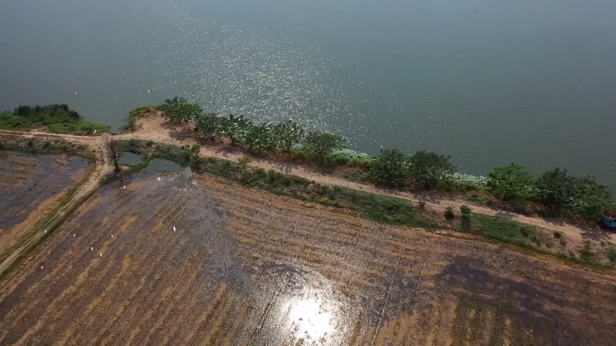 เจาะลึก เปลี่ยนอากาศและพื้นที่น้ำท่วมเป็น 'เงิน' ที่ จ.อ่างทอง