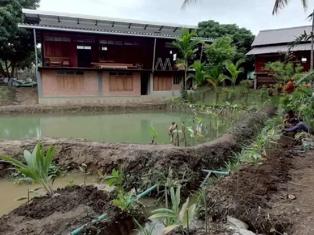 จุดเริ่มต้นการสร้างบ้านใน 'บ้านสวนมาศิณีฟาร์ม'