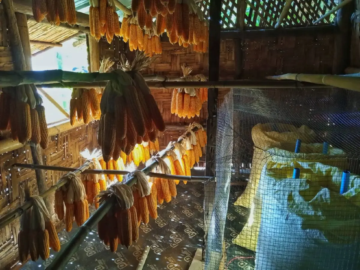 การถนอมอาหารภายในบ้าน