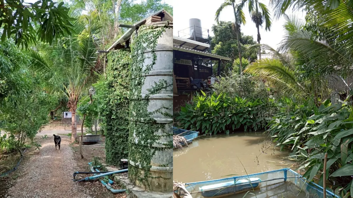 ระบบน้ำของบ้านที่จะเห็นแทงก์น้ำด้านบน