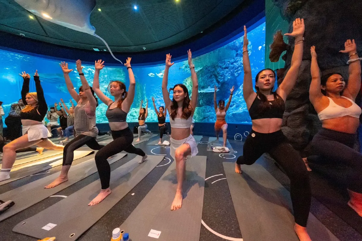 สวรรค์แห่งสุขภาพ ไทยชู Wellness สุดปัง! ฮีลใจกายกับ Aquarium Yoga