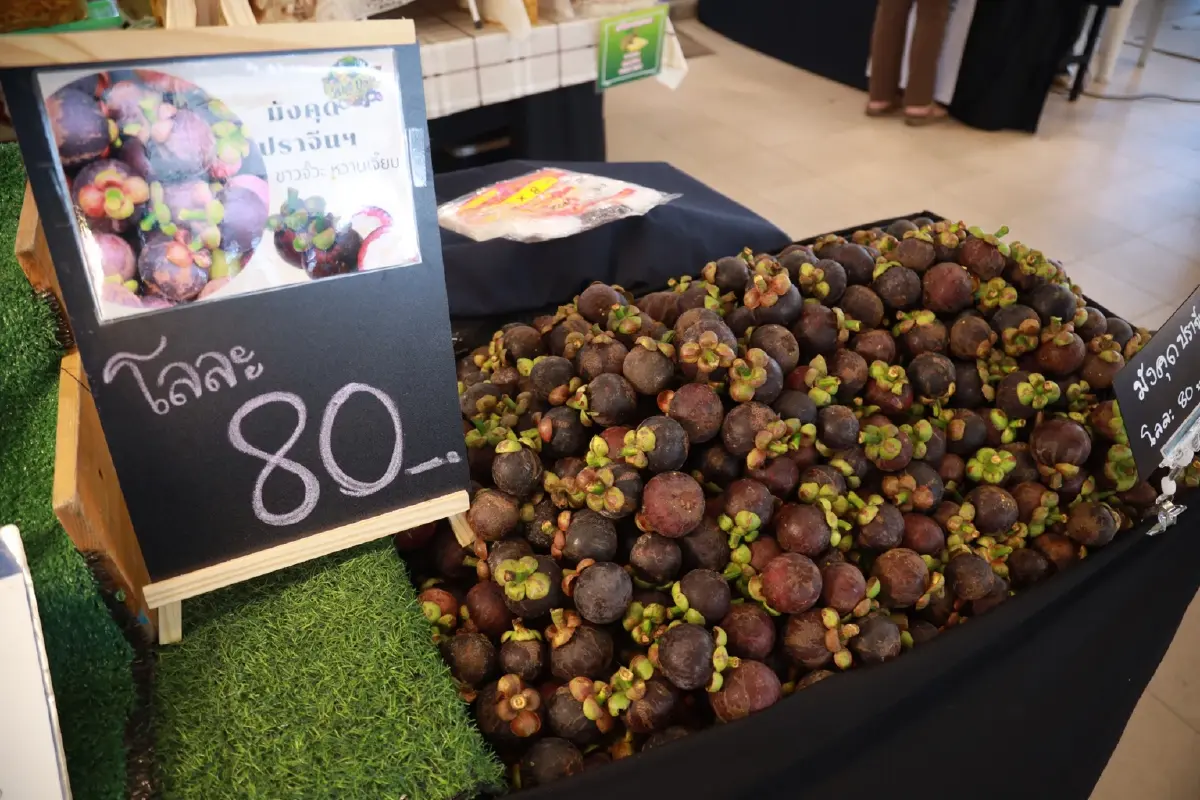 เกษตรฯ - อ.ต.ก. จัด มหานครผลไม้ไทยฯ ช่วยเกษตรกรระบายผลผลิตทะลัก