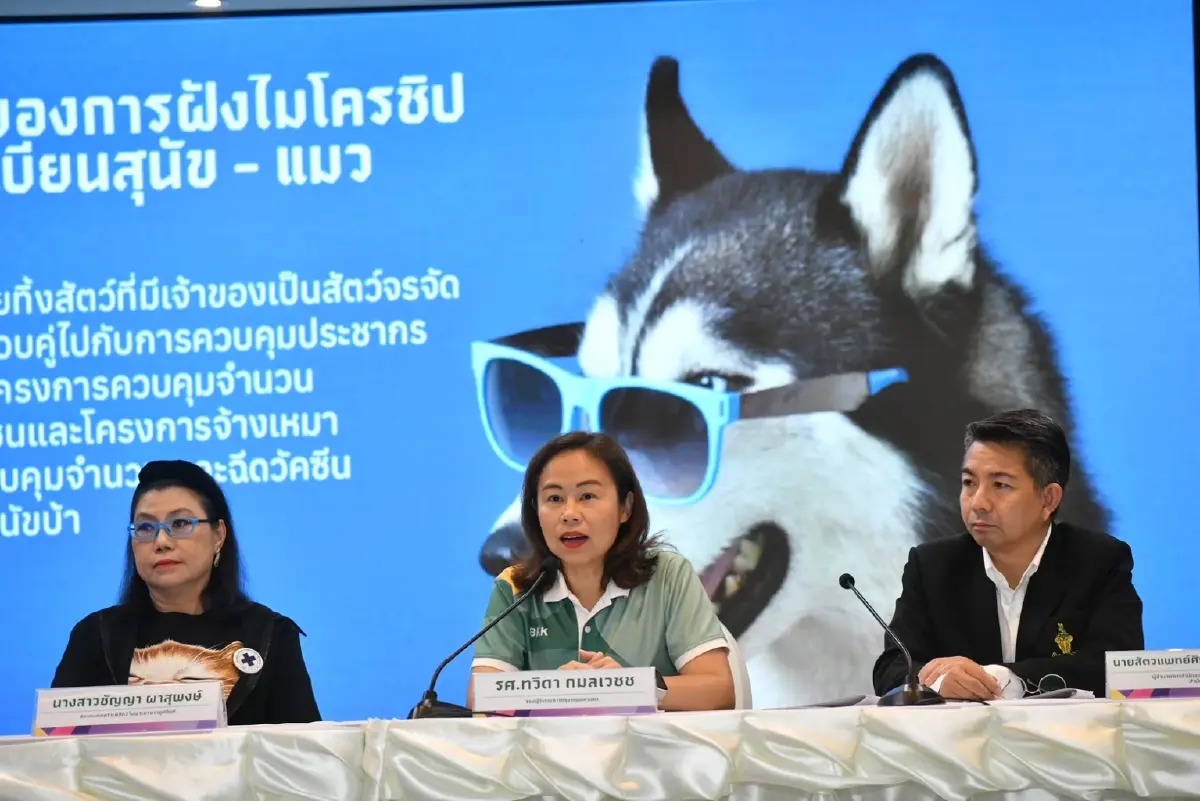 กฎหมายใหม่ไม่ได้ไล่คนเลี้ยงหมา แมว ! แค่ลงทะเบียน เริ่ม 10 ม.ค. 69