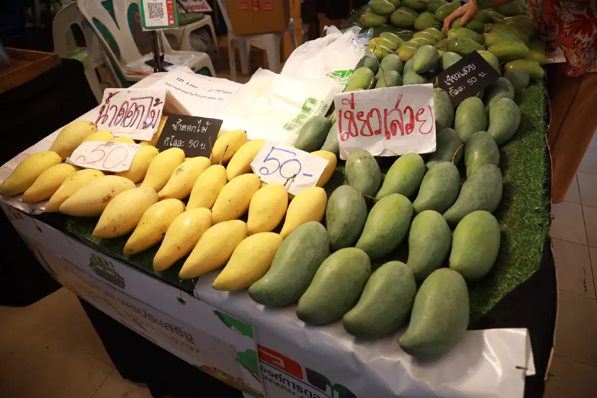 เกษตรฯ - อ.ต.ก. จัด มหานครผลไม้ไทยฯ ช่วยเกษตรกรระบายผลผลิตทะลัก