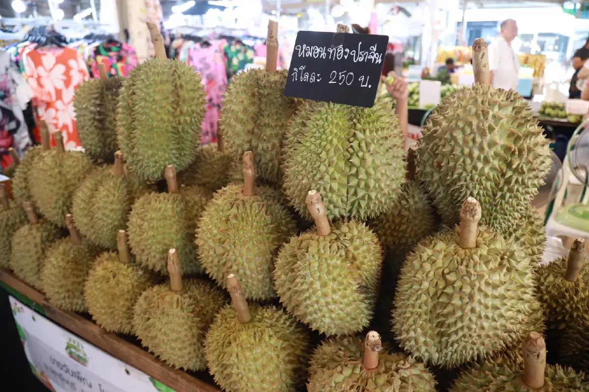 เกษตรฯ - อ.ต.ก. จัด มหานครผลไม้ไทยฯ ช่วยเกษตรกรระบายผลผลิตทะลัก