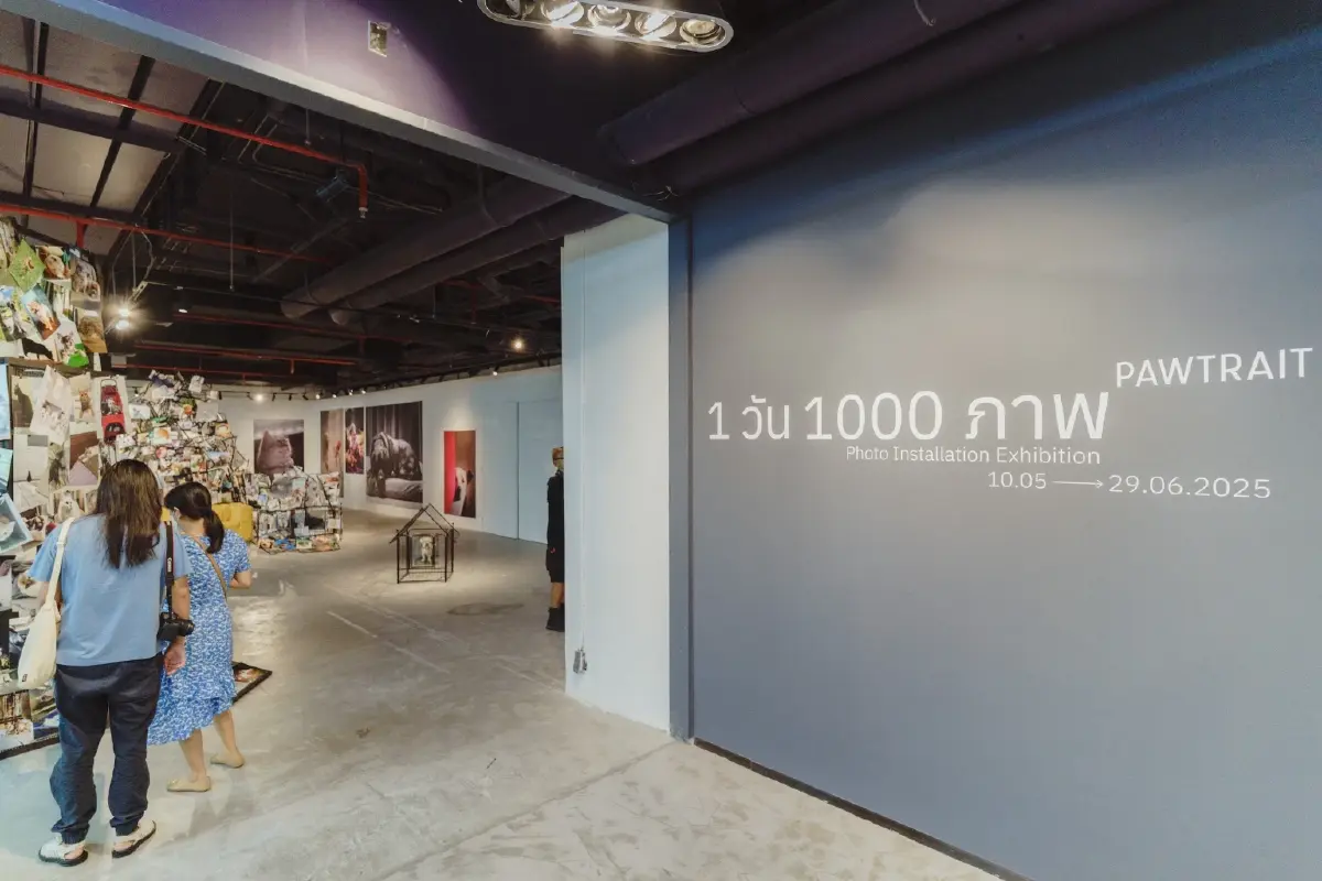 MMAD CUBE และ Pawtrait: นิทรรศการศิลปะไร้กรอบ ไร้เพศ ไร้นิยาม