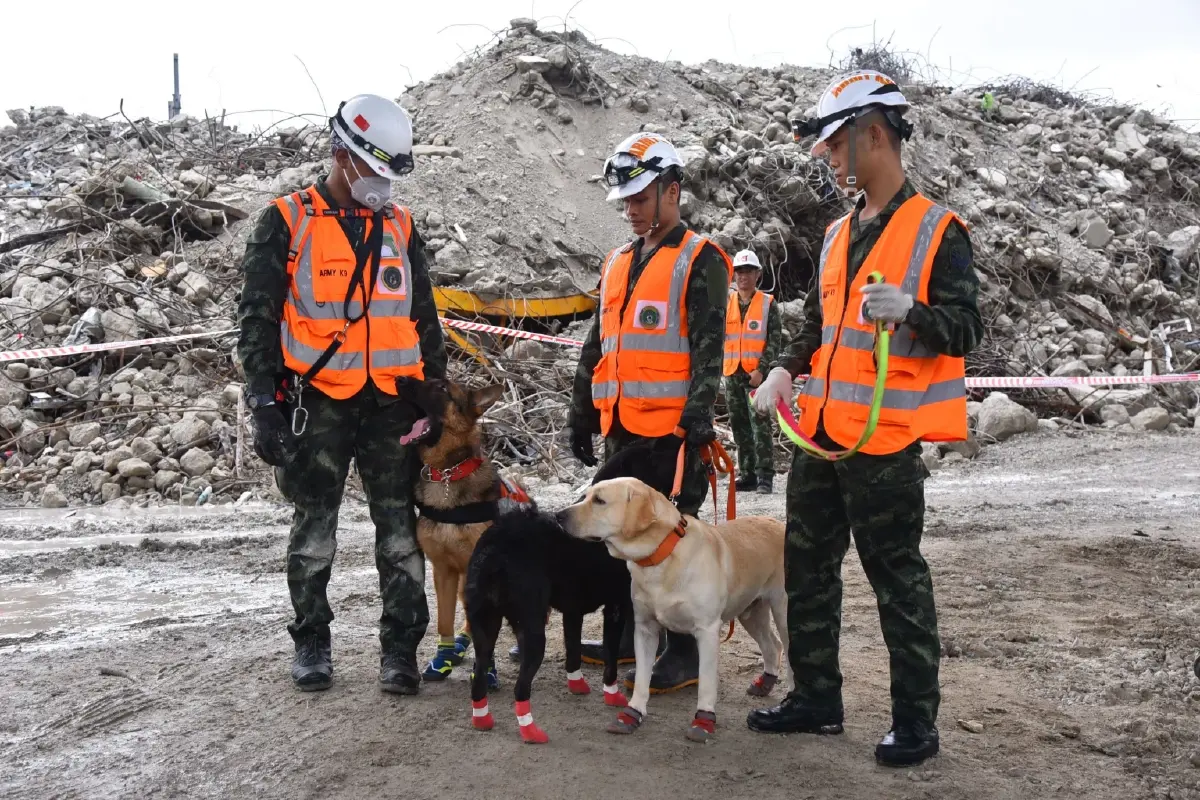 46 วันปฏิบัติการกู้ซาก “ตึก สตง.” จากโศกนาฏกรรมแผ่นดินไหว สู่บทเรียนรัฐไทย