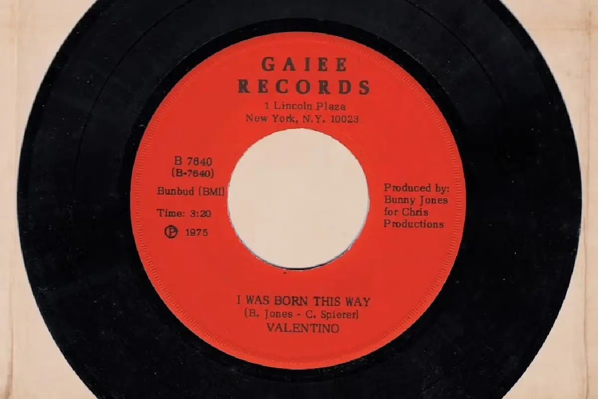 แผ่นเสียง I Was Born This Way