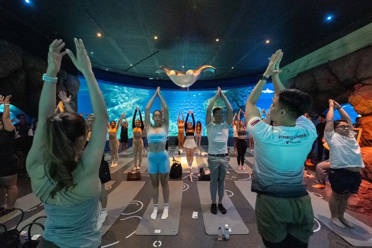 สวรรค์แห่งสุขภาพ ไทยชู Wellness สุดปัง! ฮีลใจกายกับ Aquarium Yoga