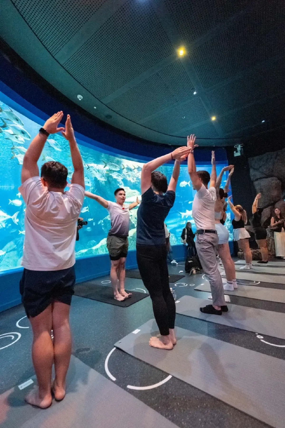 สวรรค์แห่งสุขภาพ ไทยชู Wellness สุดปัง! ฮีลใจกายกับ Aquarium Yoga