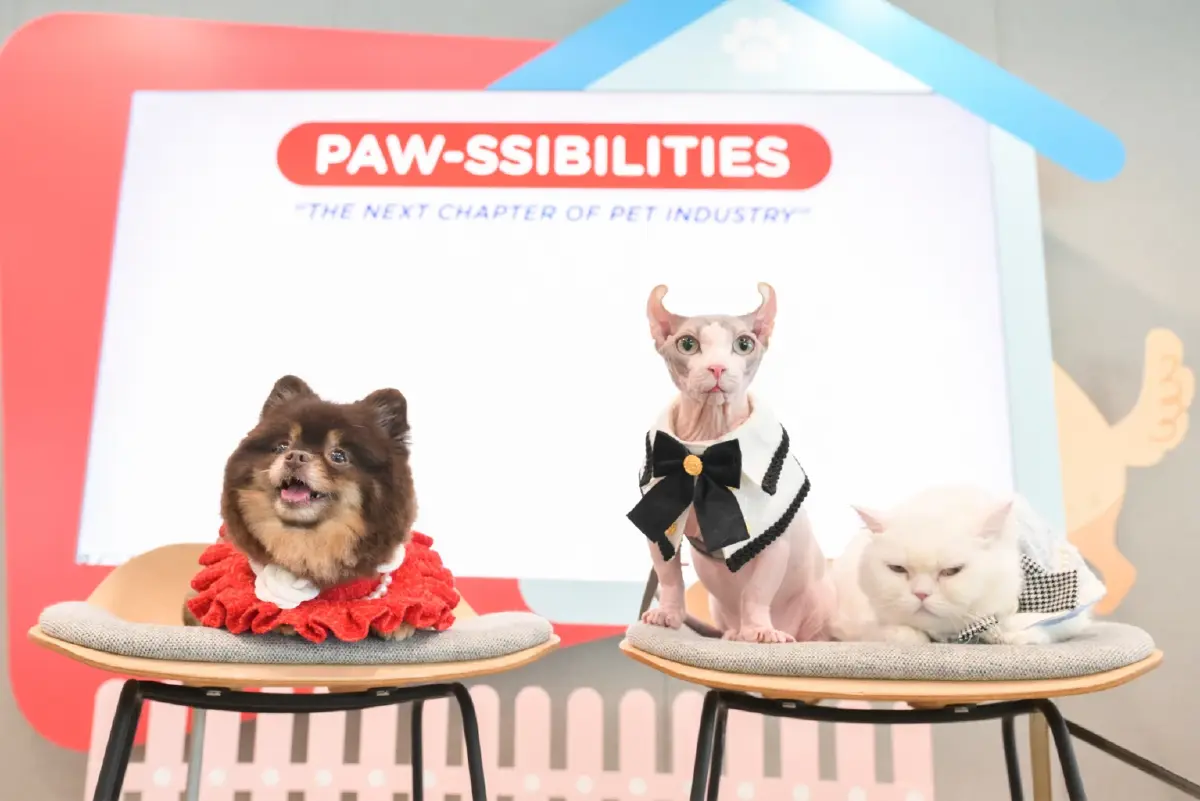 KTC ลุยตลาดสัตว์เลี้ยง โตไม่หยุด แตะพันล้าน ดันไทยสู่ฮับเพ็ทอีโคโนมี