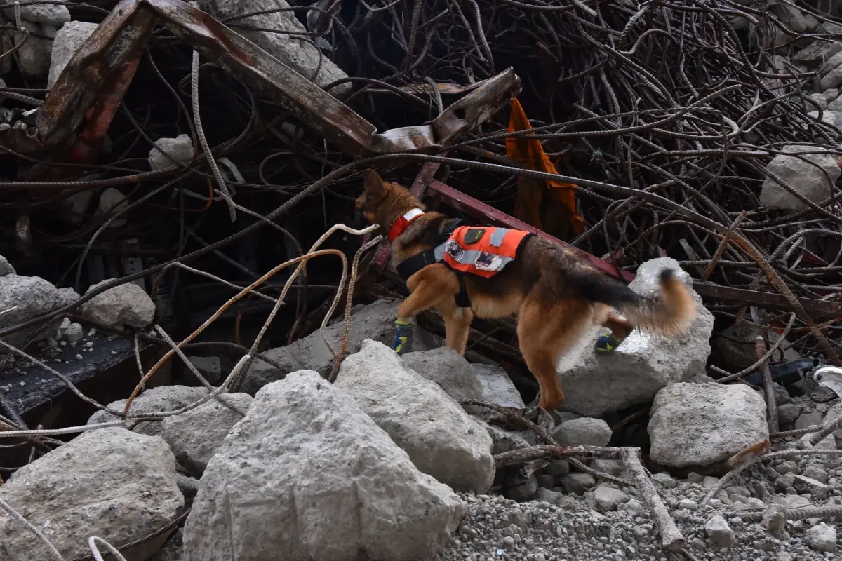 46 วันปฏิบัติการกู้ซาก “ตึก สตง.” จากโศกนาฏกรรมแผ่นดินไหว สู่บทเรียนรัฐไทย