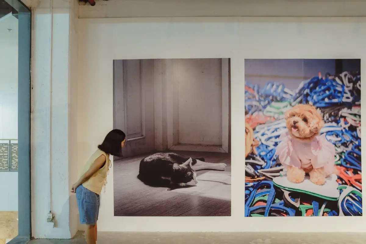 MMAD CUBE และ Pawtrait: นิทรรศการศิลปะไร้กรอบ ไร้เพศ ไร้นิยาม