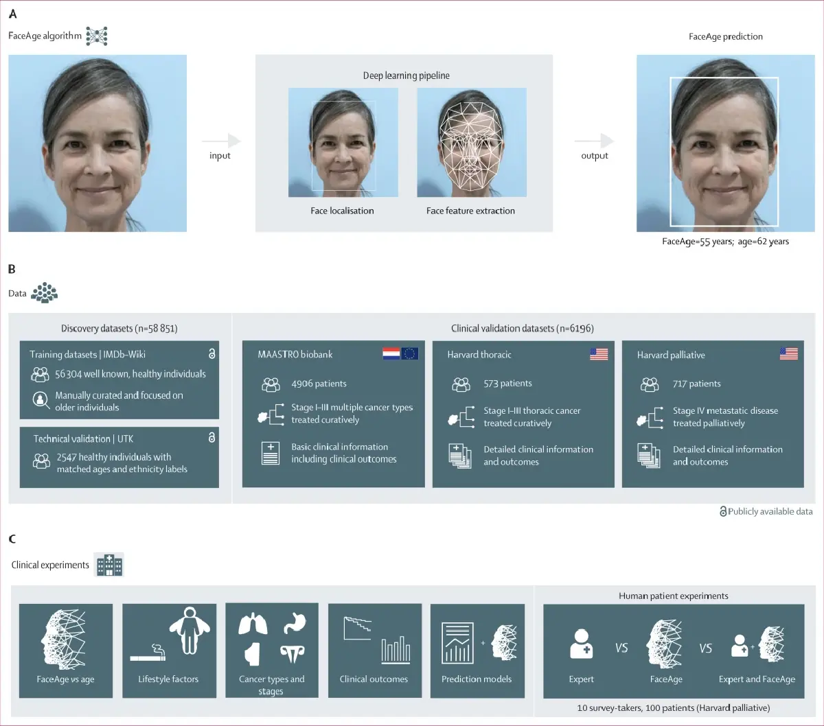 แค่เซลฟี่ก็รู้! FaceAge AI ถอดรหัส "อายุชีวภาพ"  ที่ซ่อนบนใบหน้า