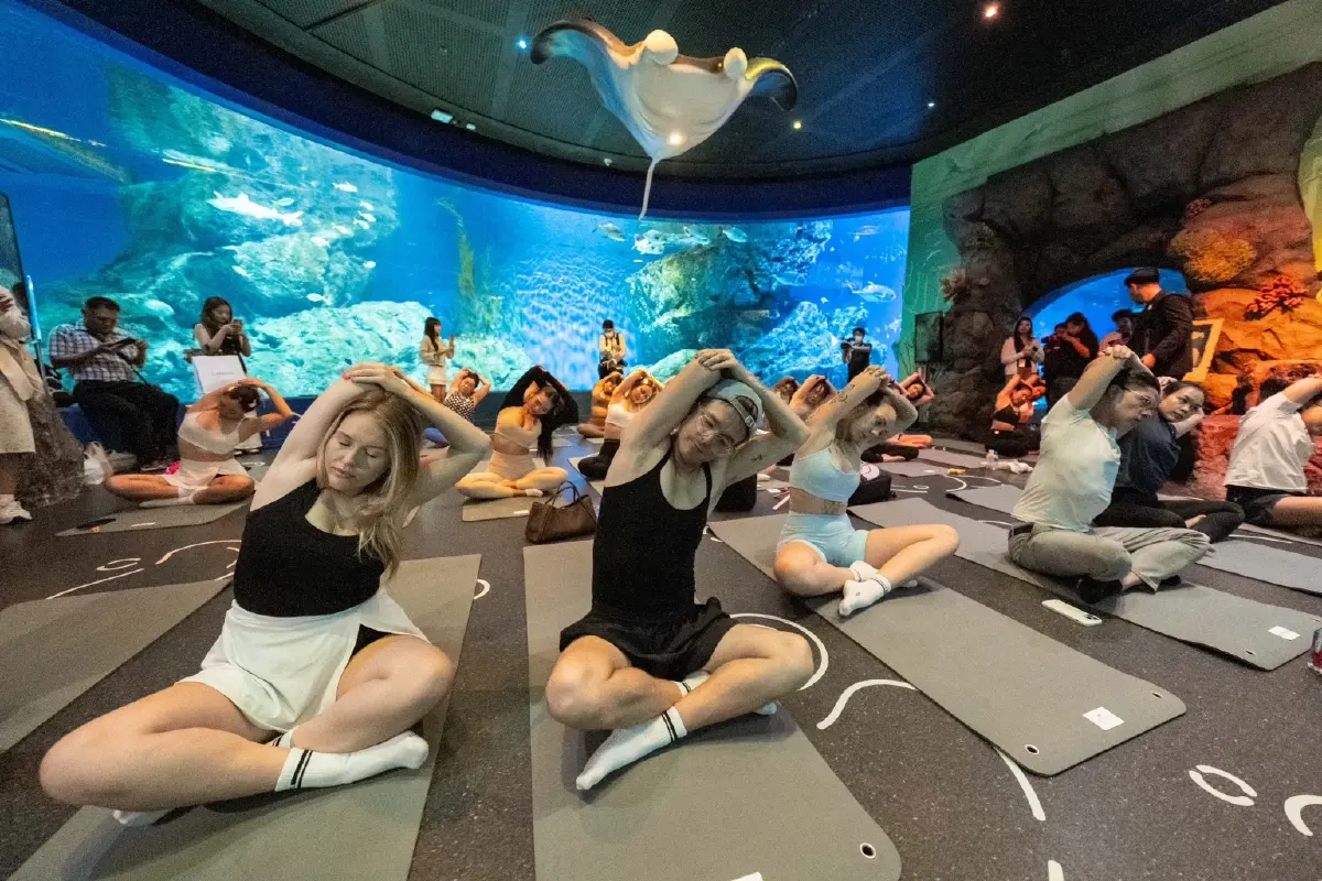 สวรรค์แห่งสุขภาพ ไทยชู Wellness สุดปัง! ฮีลใจกายกับ Aquarium Yoga