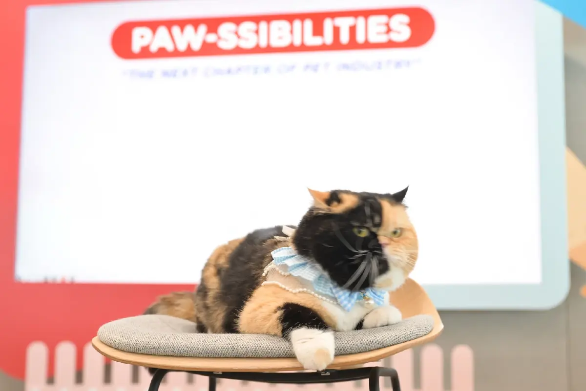 KTC ลุยตลาดสัตว์เลี้ยง โตไม่หยุด แตะพันล้าน ดันไทยสู่ฮับเพ็ทอีโคโนมี