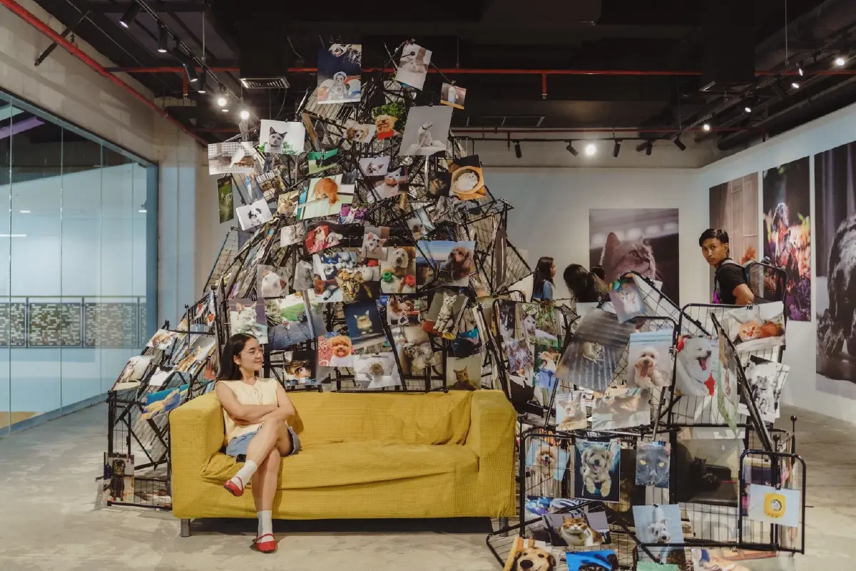 MMAD CUBE และ Pawtrait: นิทรรศการศิลปะไร้กรอบ ไร้เพศ ไร้นิยาม