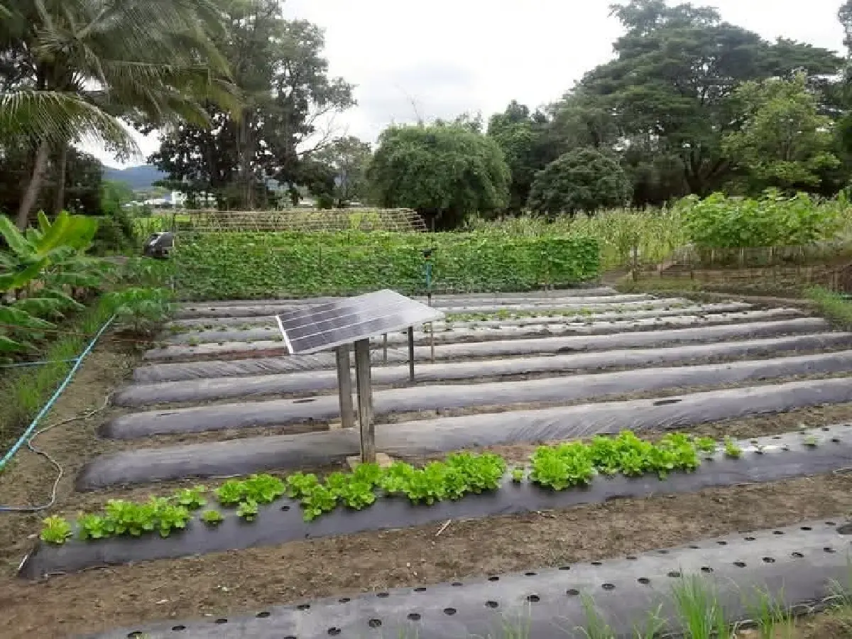 บ้าน ‘คนธรรมดา’ ที่ตั้งใจว่าต้องอยู่กับภัยพิบัติ 1 ปีโดยไม่ตาย