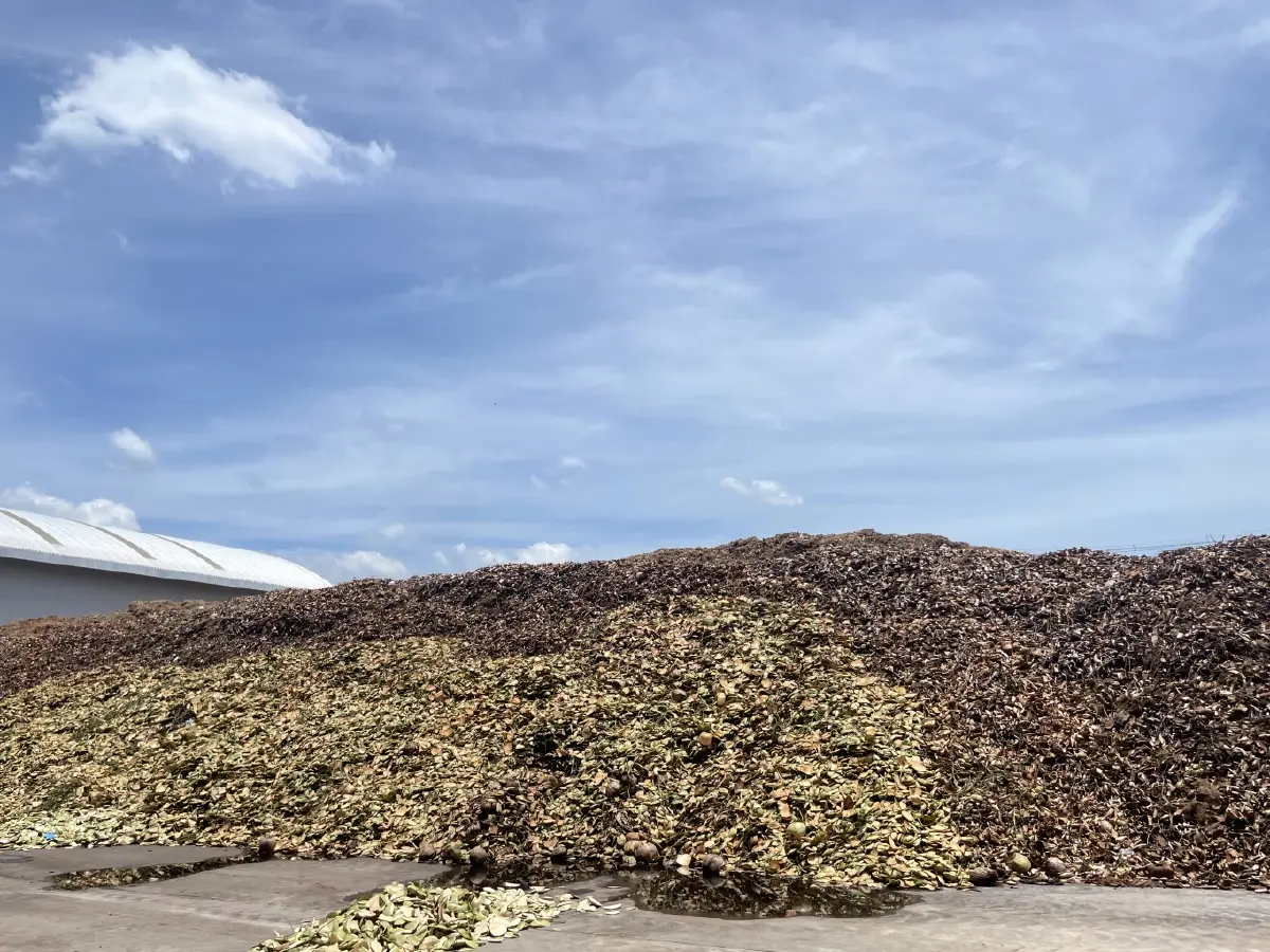 NC Coconut พามะพร้าวน้ำหอมไทยโกอินเตอร์ กวาดรายได้โตต่อเนื่อง