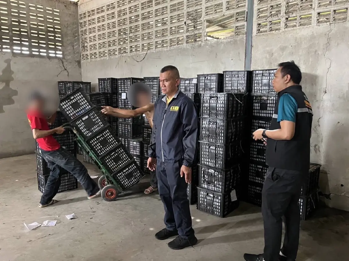 จับอะโวคาโดเถื่อน