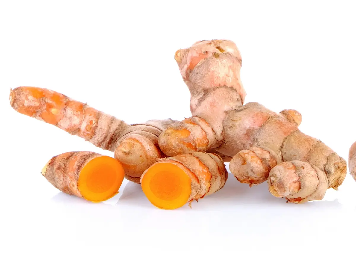 สมุนไพรไทยขึ้นแท่นศูนย์กลางอาเซียน! ทางรอดสู้วิกฤตขาดแคลนยา