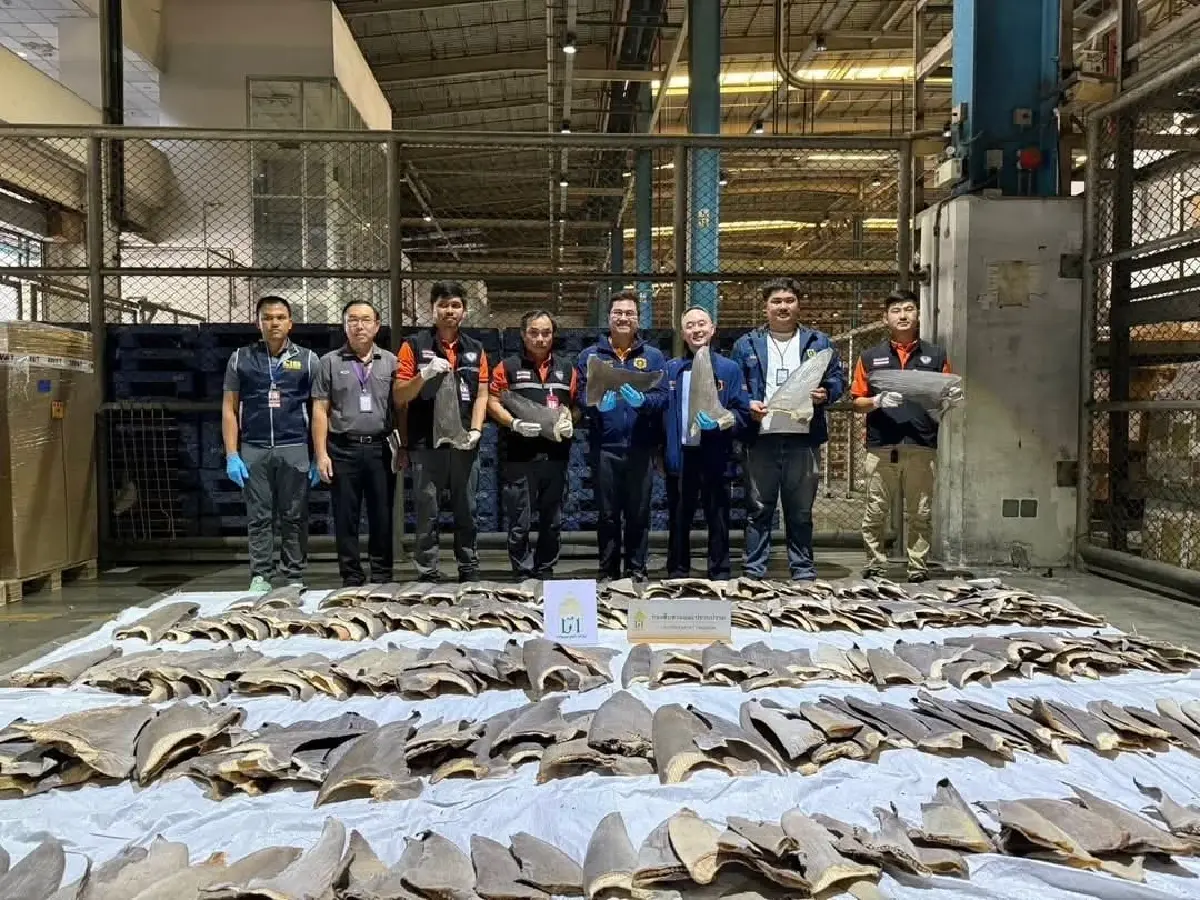 ยึดครับฉลาม