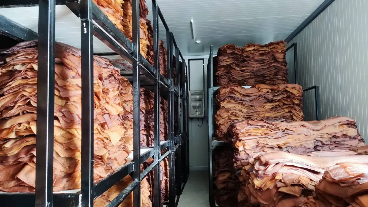 "กยท." จับมือเกษตรกรสวนยางเลื่อนกรีดยาง 1 เดือน กระตุ้นราคาพุ่ง