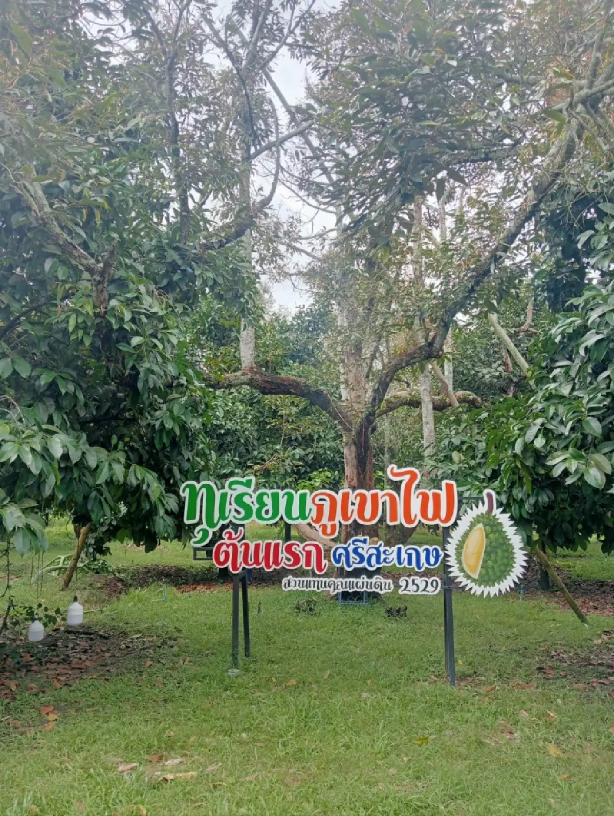 “โมบิลิตี้ ดาต้า” ดาต้านำทาง สัมผัส เสน่ห์อีสานใต้ แบบไม่ซ้ำใคร