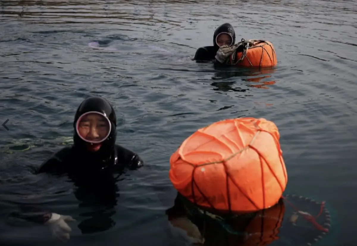 ซูเปอร์วูแมนตัวจริง! งานวิจัยล่าสุดพบ 'แฮนยอ' พันธุกรรมอึด