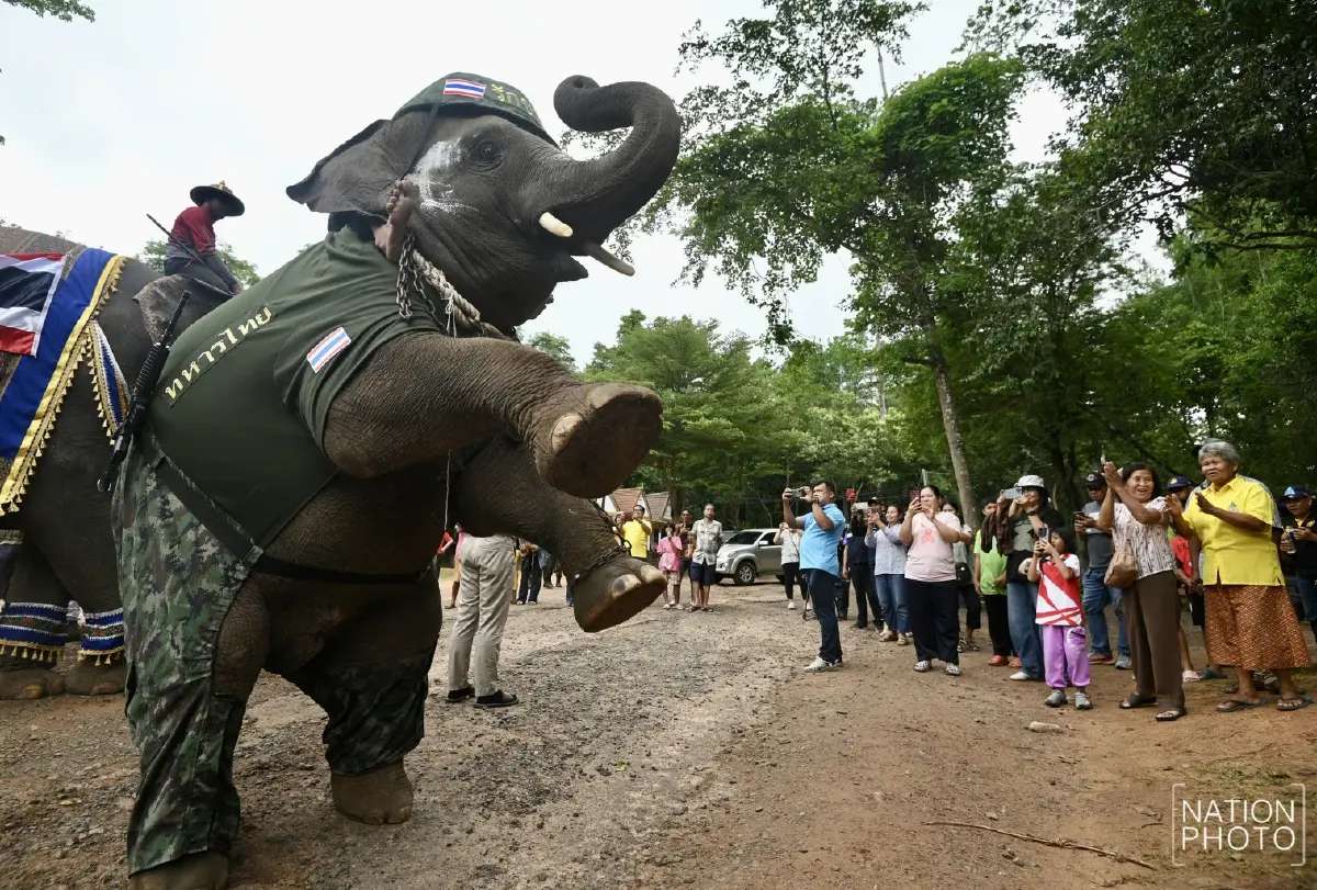 “ณัฐพล” นำช้าง 4 เชือก ให้กำลังใจทหารที่ "ปราสาทตาเมือนธม"