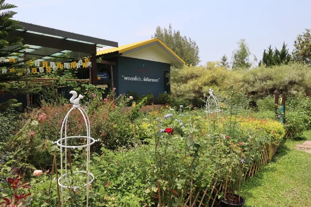 ‘พสุธารา’ ปลูก-แปรรูป เลม่อน ตีตลาดออนไลน์ ขาย 2 ชั่วโมง ได้ 1 ล้าน